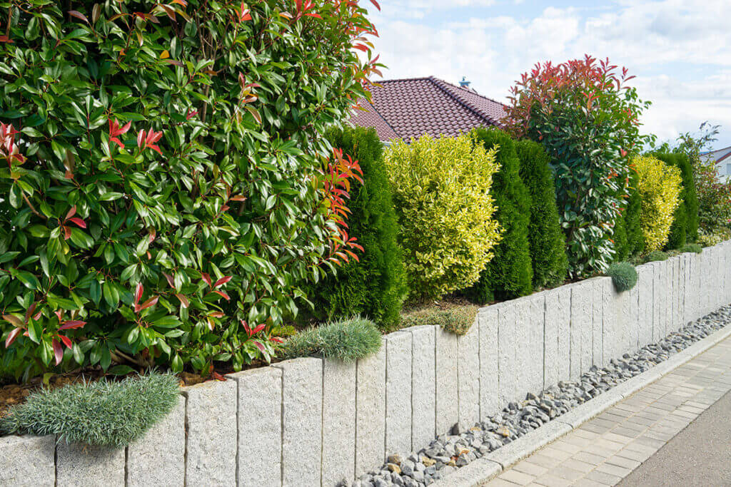 Gartenmauer mit Bepflanzung