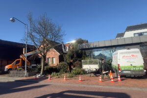 Professionelle Gartenpflege mit Baumfällung und Landschaftsgestaltung in einer Wohngegend.